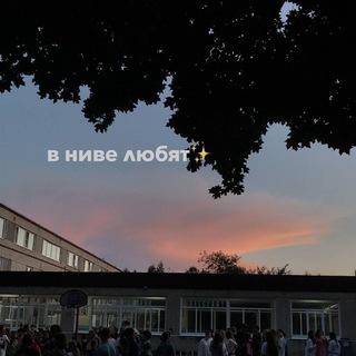 Логотип телеграм канала @in_love_love — В ниве любят...