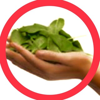 Logo des Telegrammkanals in_naturweg - Alternative Medizin Infokanal