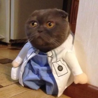 Логотип телеграм канала @in_policlinic — в поликлинике 🩺