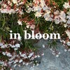Логотип телеграм канала @in_bloom_ksyu — in bloom