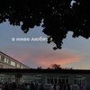 Логотип телеграм канала @in_love_love — В ниве любят...