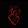 Логотип телеграм канала @inalilyah — إِنَّا لِلَّٰهِ وَإِنَّا إِلَيْهِ رَاجِعُون💔