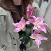 Логотип телеграм канала @inanotherliiifee — tumblr girl 🎋