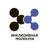 Логотип телеграм канала @inc_molecula — АНО Инклюзивная молекула
