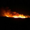 Telegram channel INCENDIOS FORESTALES logo