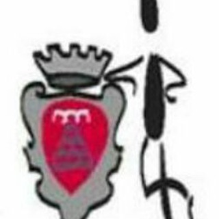 Telegram channel InComune Montevarchi logo
