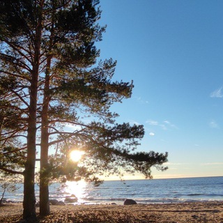 Логотип телеграм канала @incrediblelenoblast — In the middle of nowhere