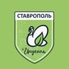Логотип телеграм канала @indealno — Индеальный канал