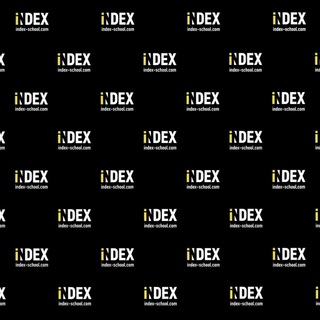 Логотип телеграм канала @indexplus — INDEX  | Умные инвестиции