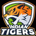 Logo saluran telegram indian_tiger_toss — INDIAN_TIGERS_TOSS