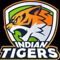 Telegram channel INDIAN_TIGERS_TOSS logo