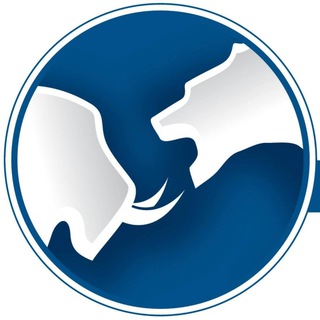 Logotipo del canal de telegramas indicatorsmt5mt4 - Indicators MT5 MT4
