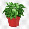 Логотип телеграм канала @indoorflowersn — Комнатные растения 🪴 Plants 🪴 Суккуленты 🪴 Фикусы 🪴 Алоказия 🪴 Орхидеи 🪴 Маранта 🪴 Филодендрон 🪴 Спатифиллум 🪴 Колеус