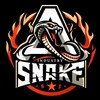 Telegram channel Индустрия | "Snake" logo