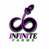 Logo of telegram channel infinitefarms — INFINITE FARMS