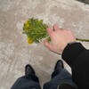 Логотип телеграм канала @influenceyo — Influence