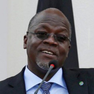 Logotipo del canal de telegramas infopapaya - InfoPapaya