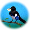Telegram channel ИНФО-СОРОКА logo