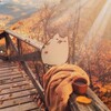 Логотип телеграм канала @infotemsgifq — инфо темы от утки