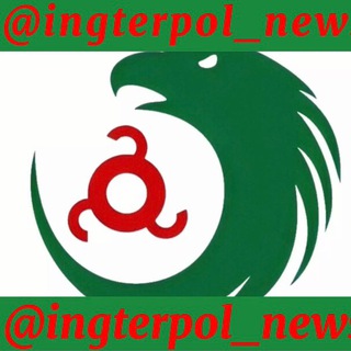 Логотип телеграм канала @ingterpol_news — ingterpol_news
