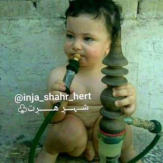 Telgraf kanalının logosu inja_shahr_hert — شــــــہــــڕ هــــڕت🍃