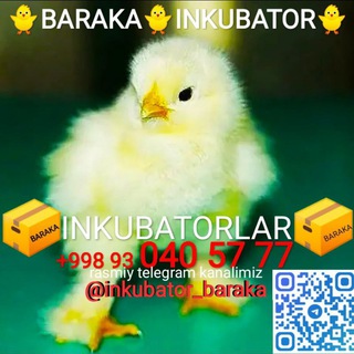 Telegram kanalining logotibi inkubator_baraka — 📦BARAKA INKUBATOR olloyor quqon