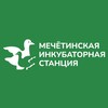 Логотип телеграм канала @inkubator_mis — Мечётинская инкубаторная станция