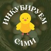 Логотип телеграм канала @inkubiruemsami — Инкубируем сами 🐣