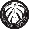 Logo of telegram channel innocentplantsshop — InnocentPlantsShop