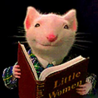 Логотип телеграм канала @inostrannaya_literatura — Записки о самых разных книгах