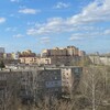 Логотип телеграм канала @inroshalubat — в роще любят