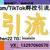 Telegram channel 欧美币圈引流/马来西亚引流/韩国引流 logo