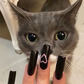 Логотип телеграм канала @insbabyss — крысиные земли