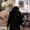 Логотип телеграм канала @insidixx — инсидикс