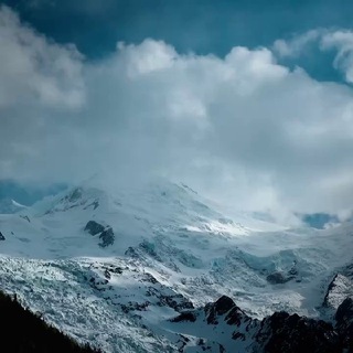 Логотип телеграм канала @insorblife — INSORB LIFE