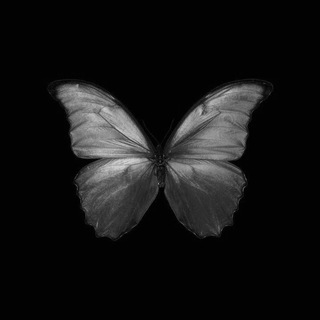 Логотип телеграм канала @inspiraationn — Inspiration