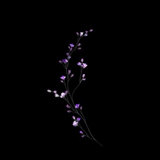 Логотип телеграм канала @inspiration_ofyou — Inspiration🍃