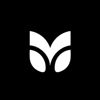 Telegram channel INSTARDING MENTOR logo