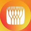 Логотип телеграм канала @instituteofenergy — ⚡️ ИЭнергетики | СПбПУ