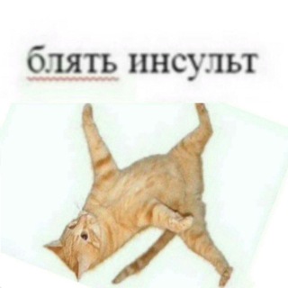 Логотип телеграм канала @insultblyat — Инсульт тиктока