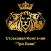 Логотип телеграм канала @insurance_tri_lion — Страховая Компания "ТРИ ЛИОН"