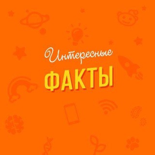 Логотип телеграм канала @int_factss — Интересные факты