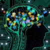 Логотип телеграм канала @interesni_facts — Интересные факты 💡
