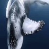 Логотип телеграм канала @interesniy_y — Интересний❤️‍🩹