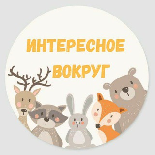 Логотип телеграм канала @interesnoevokruge — ИНТЕРЕСНОЕ ВОКРУГ