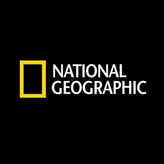 Logo of telegram channel interesting_life1 — National Geographic
