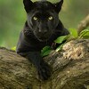 Логотип телеграм канала @interestingfacts404 — Интересные факты.