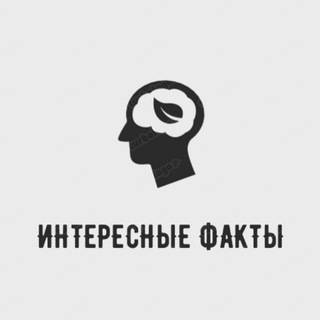 Логотип телеграм канала @interestingfactsru — интересные факты