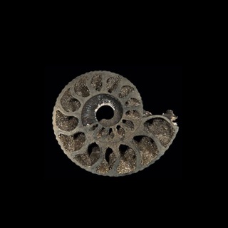 Логотип телеграм канала @interestinggeologi — Геология