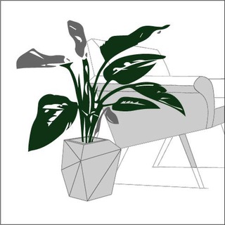 Логотип телеграм канала @interiorplants — Растения в интерьере